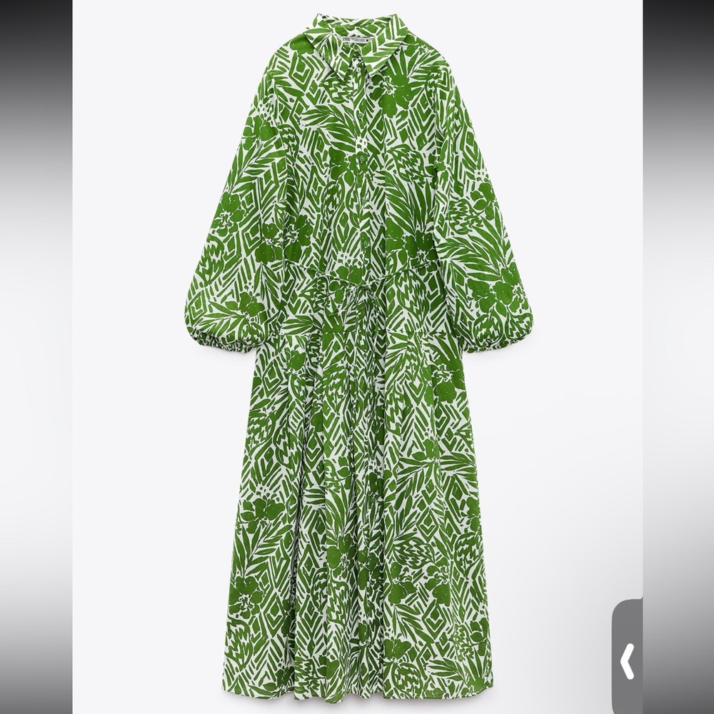 Zara Long Print Dress